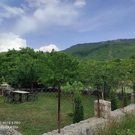 Aleks Villa Ohrid Eksteriør bilde