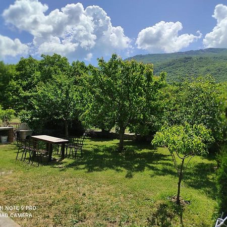 Aleks Villa Ohrid Eksteriør bilde