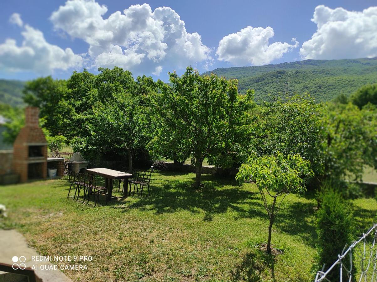 Aleks Villa Ohrid Eksteriør bilde