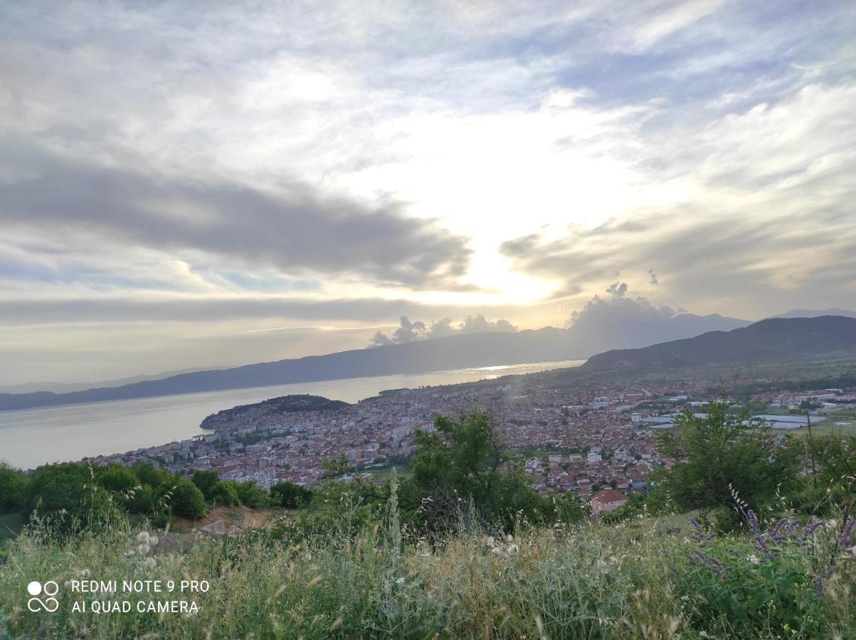 Aleks Villa Ohrid Eksteriør bilde